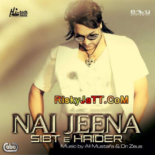 Din Pyar De Dr Zeus, Sibt E Haider mp3 song download, Nai Jeena Dr Zeus, Sibt E Haider full album