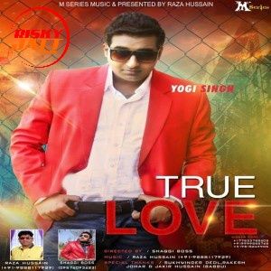 U K Wale Pound Yogi Singh mp3 song download, U K Wale Pound Yogi Singh full album