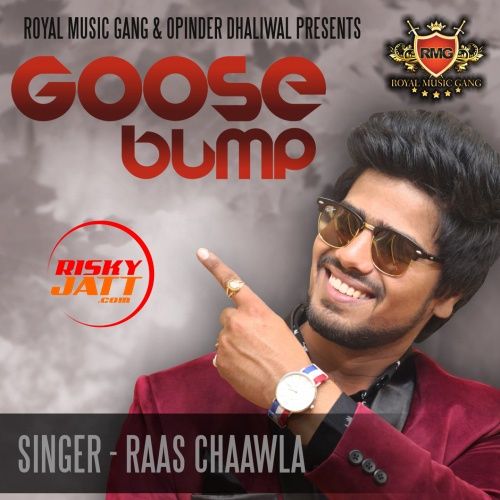 Goose Bump Raas Chaawla mp3 song download, Goose Bump Raas Chaawla full album