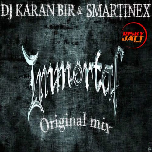 Immortal DJ Karan Bir, Smartinex mp3 song download, Immortal DJ Karan Bir, Smartinex full album