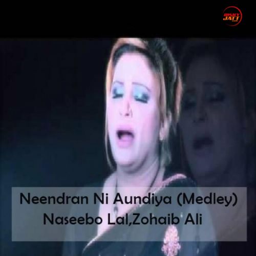 Neendran Ni Aundiya (Medley) Naseebo Lal mp3 song download, Neendran Ni Aundiya (Medley) Naseebo Lal full album