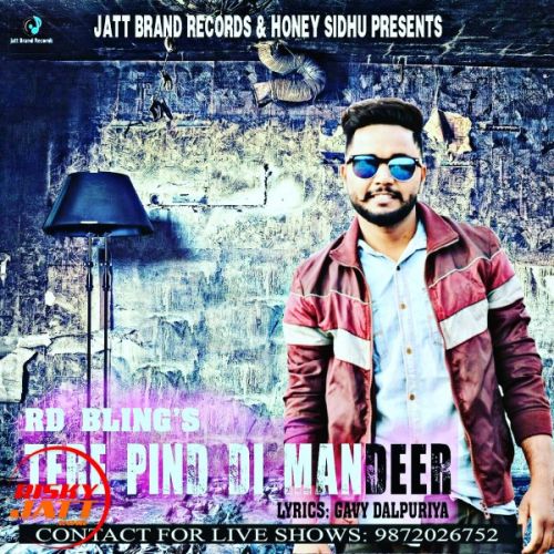 Tere pind di mandeer Rd Bling Feat Honey Sidhu mp3 song download, Tere pind di mandeer Rd Bling Feat Honey Sidhu full album