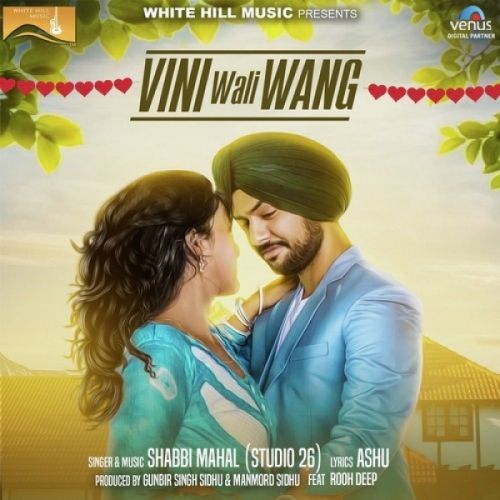 Vini Wali Wang Shabbi Mahal, Rooh Deep mp3 song download, Vini Wali Wang Shabbi Mahal, Rooh Deep full album