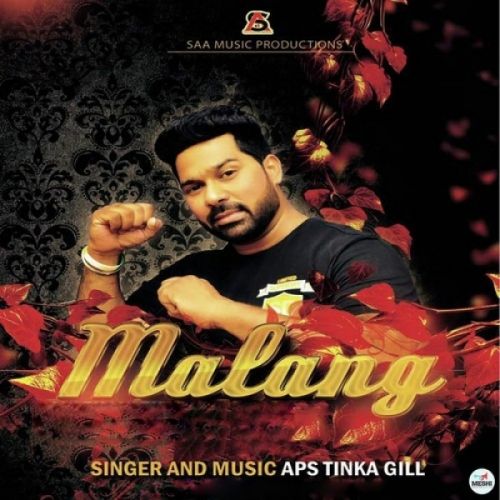 Malang APS Tinka Gill mp3 song download, Malang APS Tinka Gill full album