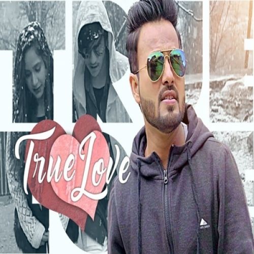 True Love Shrinath Porwal mp3 song download, True Love Shrinath Porwal full album