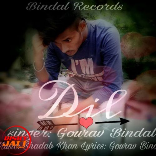 Dil Gourav Bindal mp3 song download, Dil Gourav Bindal full album