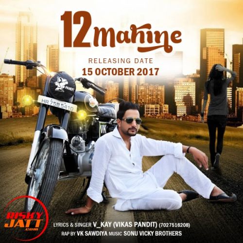 12 Mahine V Kay (Vikas Pandit) mp3 song download, 12 Mahine V Kay (Vikas Pandit) full album