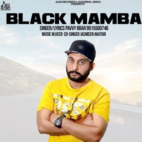 Black Mamba Pavvy Brar mp3 song download, Black Mamba Pavvy Brar full album