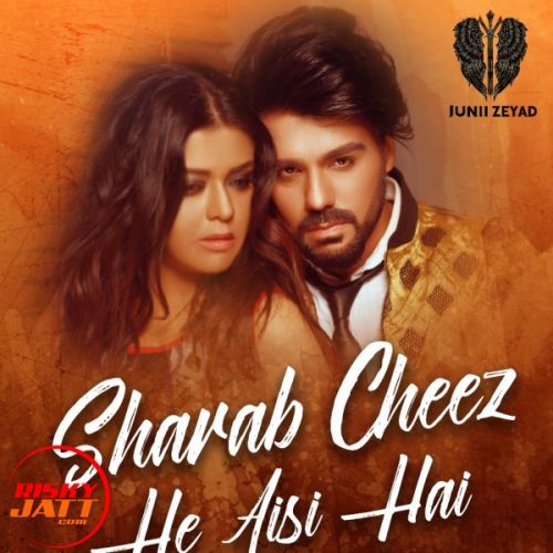 Sharab Cheez He Aisi Hai Junii Zeyad mp3 song download, Sharab Cheez He Aisi Hai Junii Zeyad full album