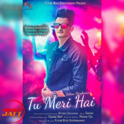 Tu Meri Hai Rohan Singhania mp3 song download, Tu Meri Hai Rohan Singhania full album