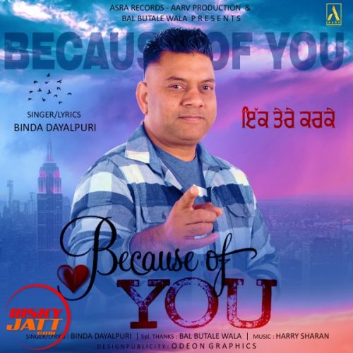 Because of You Binda Dayalpuri mp3 song download, Because of You Binda Dayalpuri full album