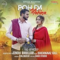 Poh Da Mahina Jindu Bhullar, Shehnaaz Gill mp3 song download, Poh Da Mahina Jindu Bhullar, Shehnaaz Gill full album