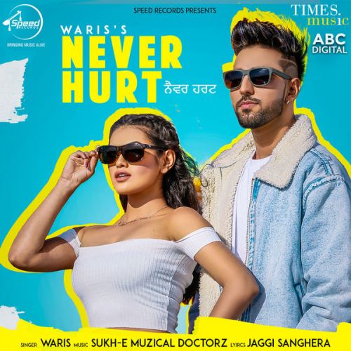 Never Hurt Waris, Sukh E Muzical Doctorz mp3 song download, Never Hurt Waris, Sukh E Muzical Doctorz full album