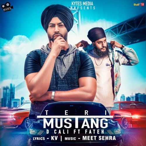 Teri Mustang Fateh, D Cali mp3 song download, Teri Mustang Fateh, D Cali full album