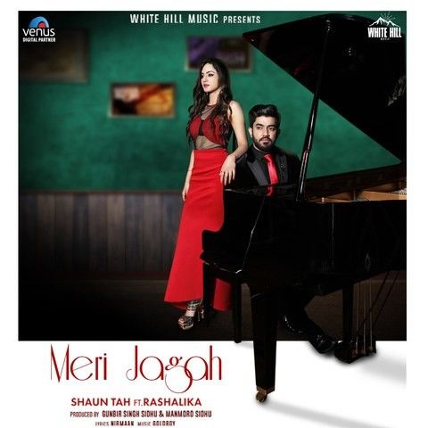 Meri Jagah Shaun Tah mp3 song download, Meri Jagah Shaun Tah full album