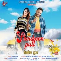 Shoukeen Putt M Saabh, Sudesh Kumari mp3 song download, Shoukeen Putt M Saabh, Sudesh Kumari full album