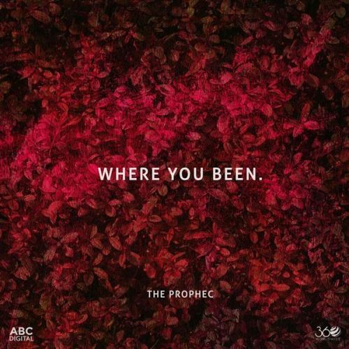 Where You Been The PropheC mp3 song download, Where You Been The PropheC full album