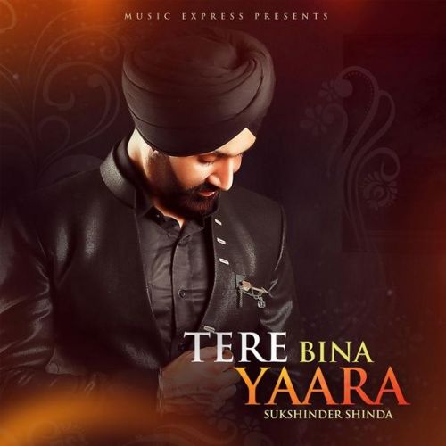 Tere Bina Yaara Sukshinder Shinda, Neetu Bhalla mp3 song download, Tere Bina Yaara Sukshinder Shinda, Neetu Bhalla full album