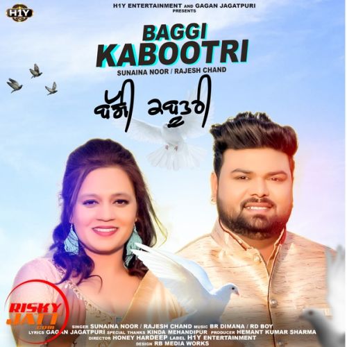 Baggi Kabootri Sunaina Noor, Rajesh Chand mp3 song download, Baggi Kabootri Sunaina Noor, Rajesh Chand full album