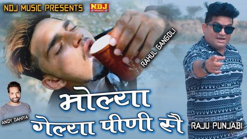 Bhola Mera Amli Raju Punjabi mp3 song download, Bhola Mera Amli Raju Punjabi full album