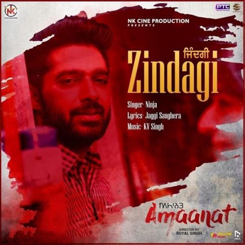 Zindagi (Amaanat) Ninja mp3 song download, Zindagi (Amaanat) Ninja full album