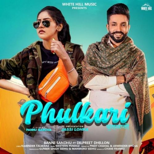 Phulkari Baani Sandhu, Dilpreet Dhillon mp3 song download, Phulkari Baani Sandhu, Dilpreet Dhillon full album