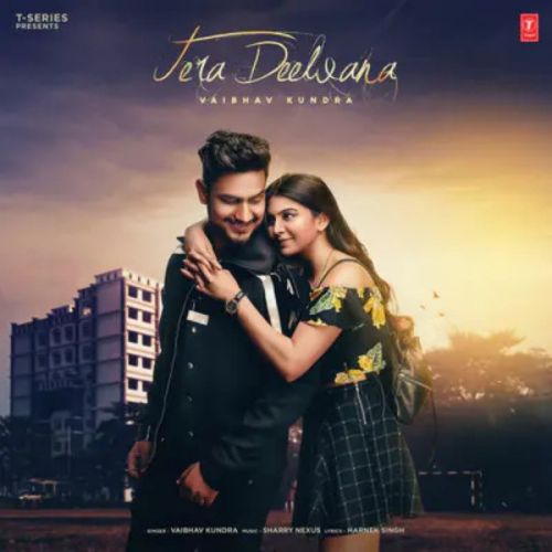 Tera Deewana Vaibhav kundra mp3 song download, Tera Deewana Vaibhav kundra full album