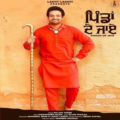 Pindan De Jaye Sajjan Adeeb mp3 song download, Pindan De Jaye Sajjan Adeeb full album