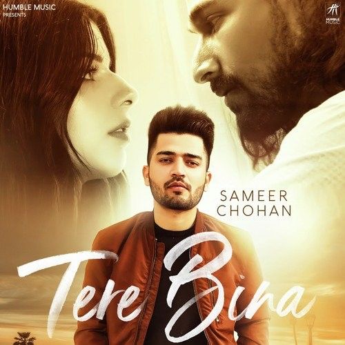 Tere Bina Sameer Chohan mp3 song download, Tere Bina Sameer Chohan full album