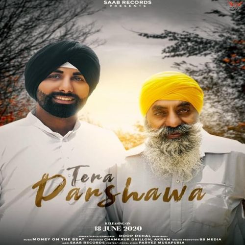 Tera Parshawa Roop Dehal mp3 song download, Tera Parshawa Roop Dehal full album