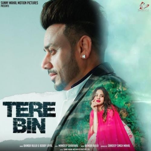 Tere Bin Bhinda Aujla mp3 song download, Tere Bin Bhinda Aujla full album