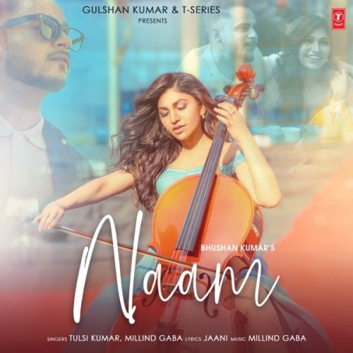 Naam Tulsi Kumar, Milind Gaba mp3 song download, Naam Tulsi Kumar, Milind Gaba full album