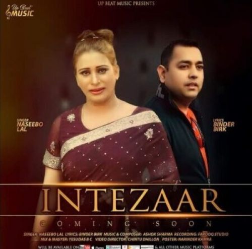 Intezaar Naseebo Lal mp3 song download, Intezaar Naseebo Lal full album