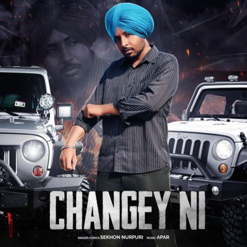 Changey ni Sekhon Nurpuri mp3 song download, Changey ni Sekhon Nurpuri full album