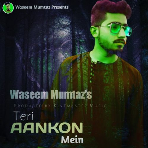 Teri Aankhon Mein Waseem Mumtaz mp3 song download, Teri Aankhon Mein Waseem Mumtaz full album