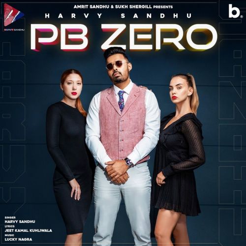 Pb Zero Harvy Sandhu mp3 song download, Pb Zero Harvy Sandhu full album