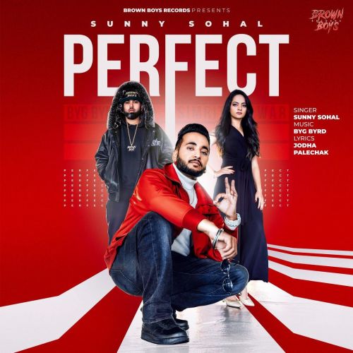 Perfect Sunny Sohal mp3 song download, Perfect Sunny Sohal full album