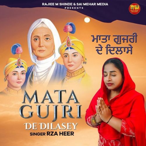 Mata Gujri De Dilasey Rza Heer mp3 song download, Mata Gujri De Dilasey Rza Heer full album