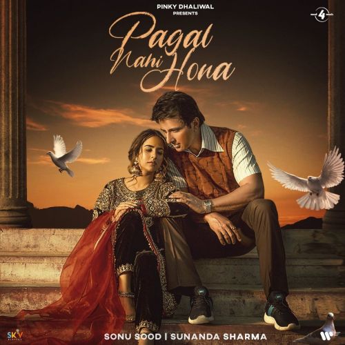 Pagal Nahi Hona Sunanda Sharma mp3 song download, Pagal Nahi Hona Sunanda Sharma full album