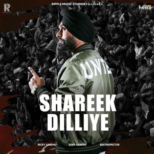 Shreek Dilliye Ricky Sandhu mp3 song download, Shreek Dilliye Ricky Sandhu full album