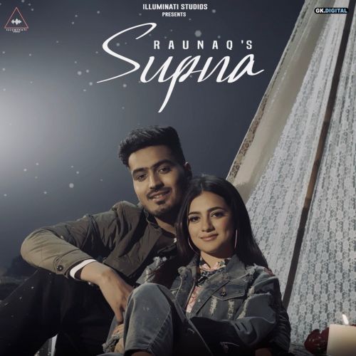 Supna Raunaq mp3 song download, Supna Raunaq full album