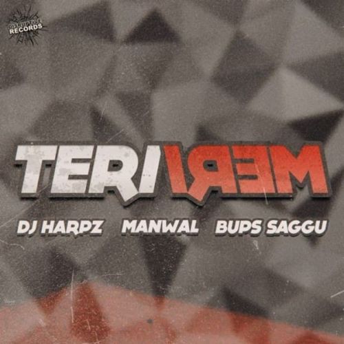 Teri Meri Manwal mp3 song download, Teri Meri Manwal full album