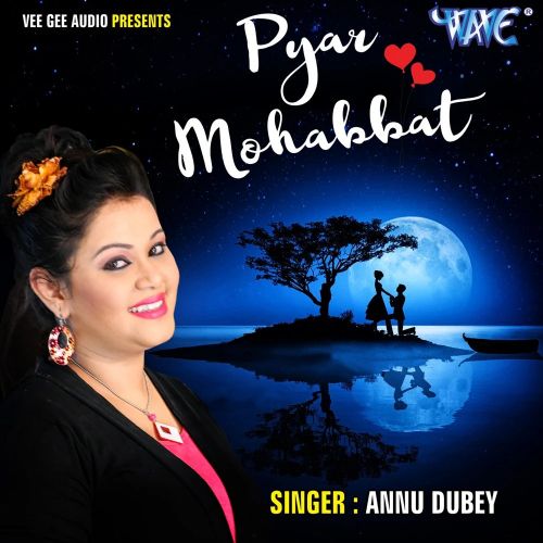 Download Tum Mere Baad Mohabbat Ko Taras Jaoge Anu Dubey mp3 song, Tum Mere Baad Mohabbat Ko Taras Jaoge Anu Dubey full album download