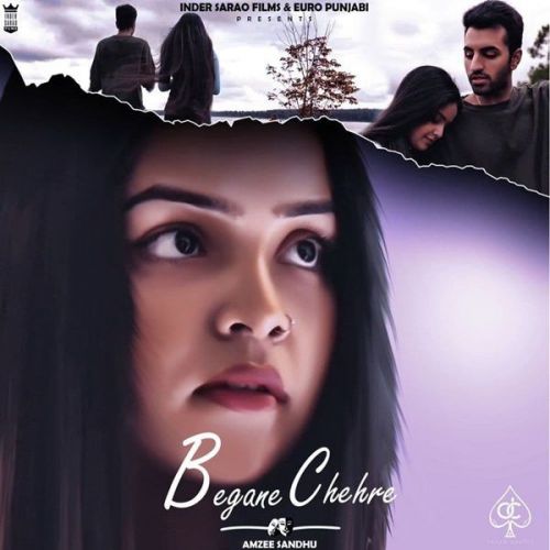 Begane Chehre Amzee Sandhu mp3 song download, Begane Chehre Amzee Sandhu full album