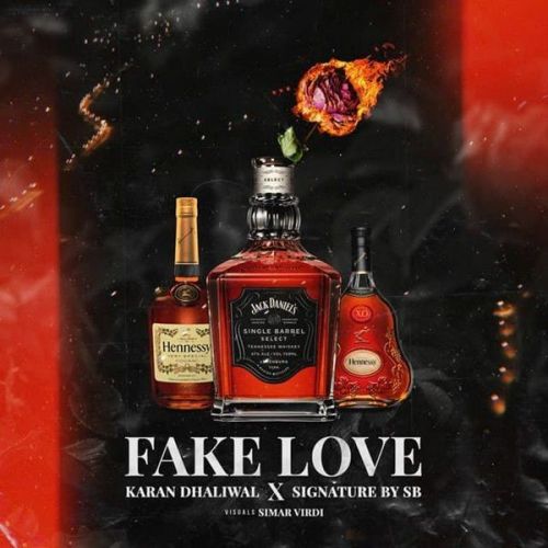 Fake Love Karan Dhaliwal mp3 song download, Fake Love Karan Dhaliwal full album