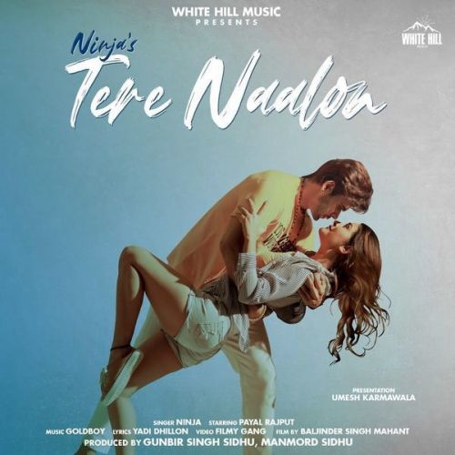 Tere Naalon Ninja mp3 song download, Tere Naalon Ninja full album