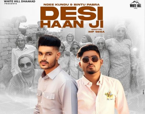 Desi Haan Ji Ndee Kundu mp3 song download, Desi Haan Ji Ndee Kundu full album