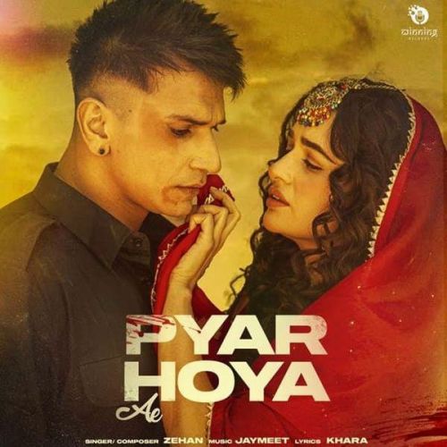 Pyar Hoya Ae Zehan mp3 song download, Pyar Hoya Ae Zehan full album