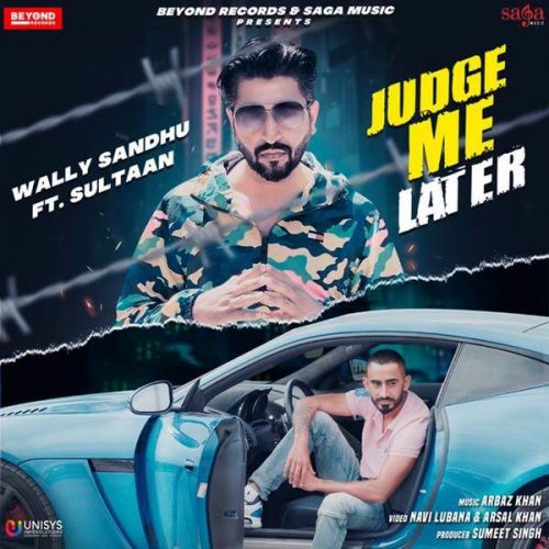 Judge Me Later Sultaan, Wally Sandhu mp3 song download, Judge Me Later Sultaan, Wally Sandhu full album