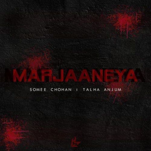 Marjaaneya Somee Chohan, Talha Anjum mp3 song download, Marjaaneya Somee Chohan, Talha Anjum full album